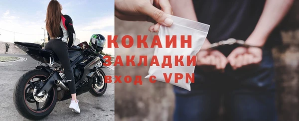 сатива Балахна