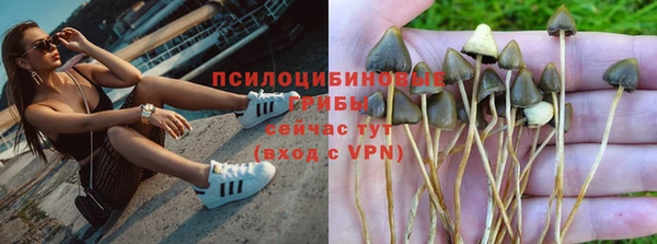 эйфоретик Россошь
